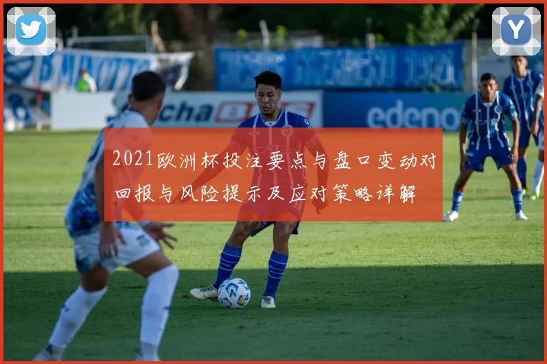 2021欧洲杯投注要点与盘口变动对回报与风险提示及应对策略详解