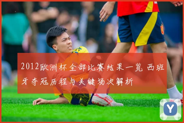 2012欧洲杯全部比赛结果一览 西班牙夺冠历程与关键场次解析
