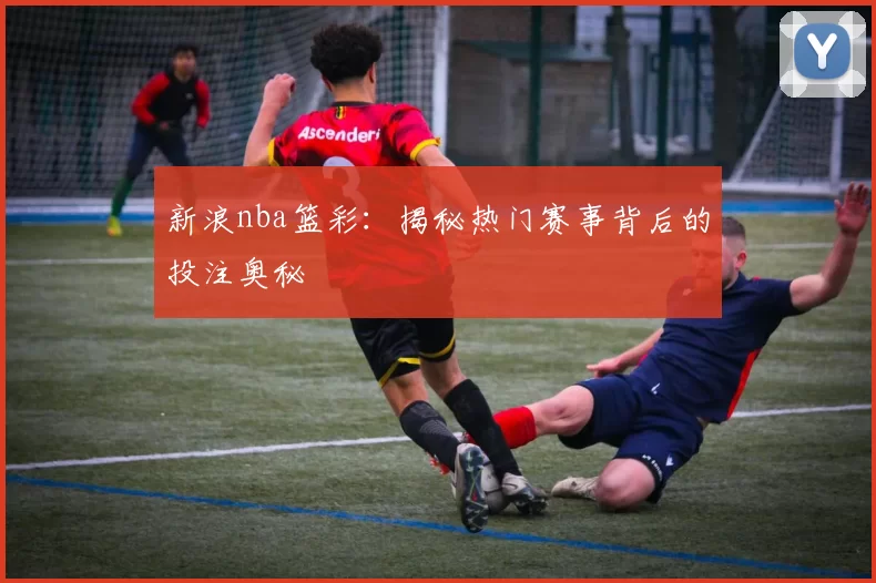 新浪nba篮彩:揭秘热门赛事背后的投注奥秘