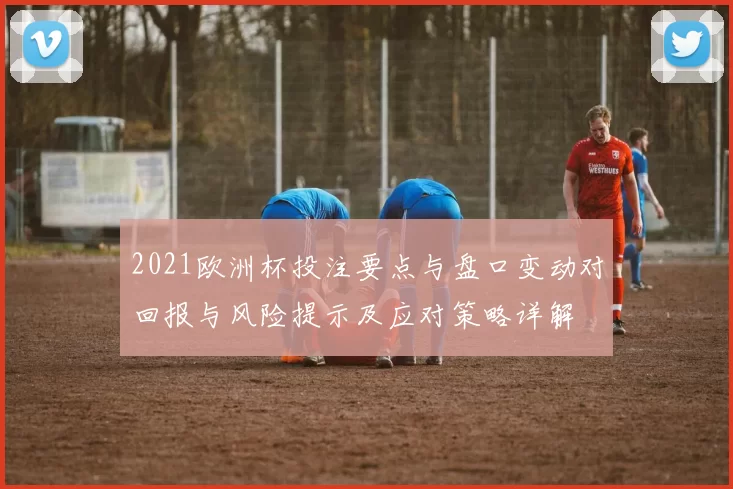 2021欧洲杯投注要点与盘口变动对回报与风险提示及应对策略详解
