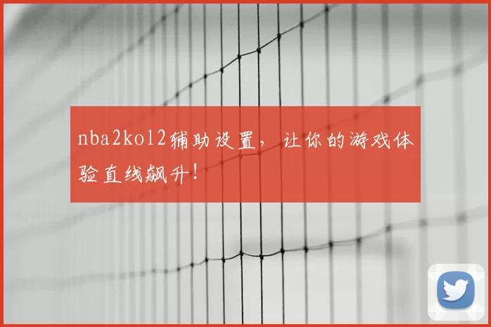 nba2kol2辅助设置，让你的游戏体验直线飙升！