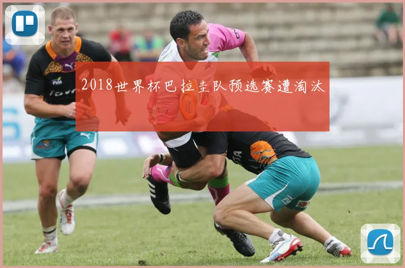 2018世界杯巴拉圭队预选赛遭淘汰