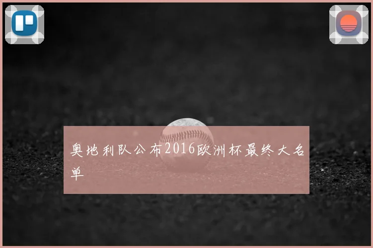 奥地利队公布2016欧洲杯最终大名单