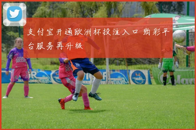 支付宝开通欧洲杯投注入口 购彩平台服务再升级