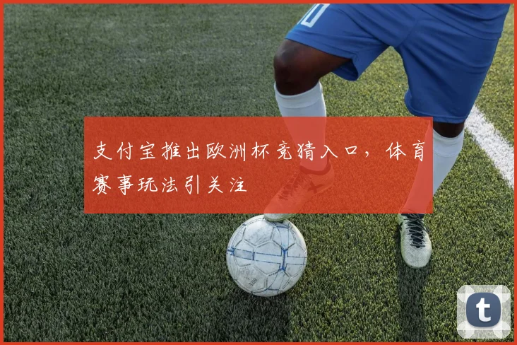 支付宝推出欧洲杯竞猜入口，体育赛事玩法引关注